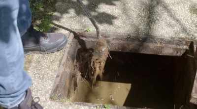 These force sewage to back up
along the pipes, - Sewer Divers