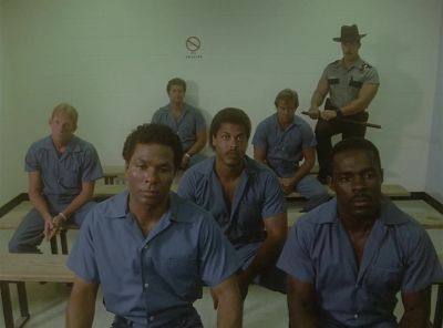 These four. - Miami Vice