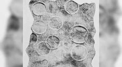 These giant sucker marks
from the battles - Mysteries of the Deep