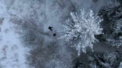 These guys are
sneaky, they're quiet, - Life Below Zero: Next Generation