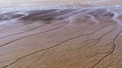 These huge transformations
churn-up the nutrients - Wild Isles