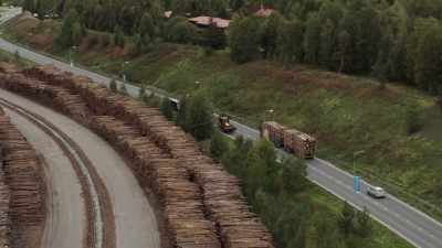 These logs are trucked to trains,
and from here, - Wild Nordic