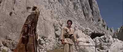 These men,
they look like Salkits! - Genghis Khan