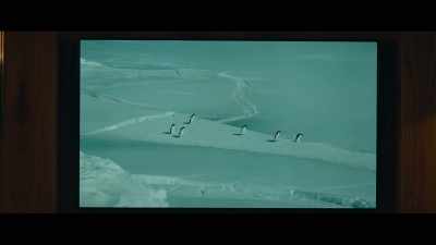 These penguins
are heading - The Pod Generation