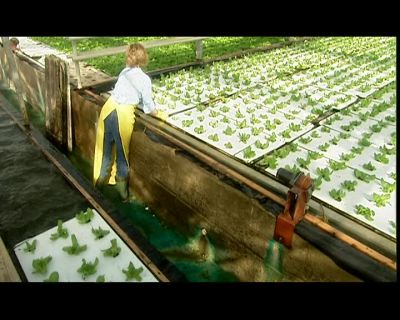 THESE POOLS ARE BIGGER, - How It's Made