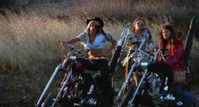 - These punks are all alike. - Angels' Wild Women