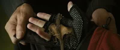 These represent four very real dragons... - Harry Potter and the Goblet of Fire
