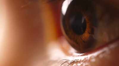 These rods provide a vision
that is more black and white, - Human: The World Within