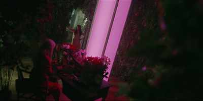 - These seeds
will bring bounty, - Moonhaven