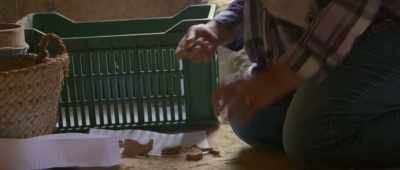 These small pieces, this is, um… - Secrets of the Saqqara Tomb