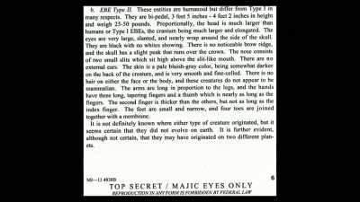 These smaller entities are
humanoid but differ from Type 1 - Truth Hunter