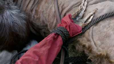 These straps that held the body
on had to be tied - True Terror with Robert Englund