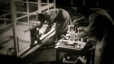 These studies
will provide clues - Hiroshima and Nagasaki: 75 Years Later