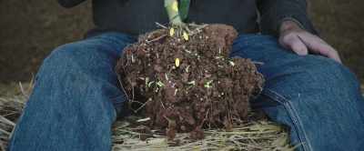 These sugars feed soil microbes, - 2040