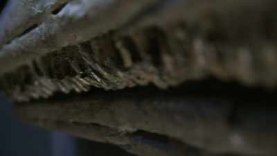 These teeth
are shaped like blades. - Attenborough and the Sea Dragon
