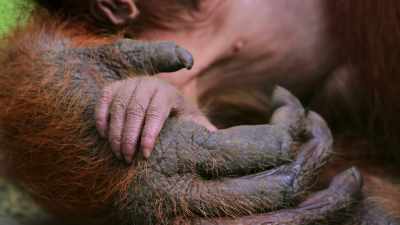 These tender moments are the beginnings - Our Great National Parks