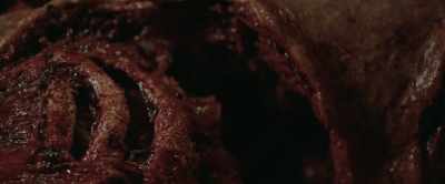 These-- these bodies
look like they've - Rippy