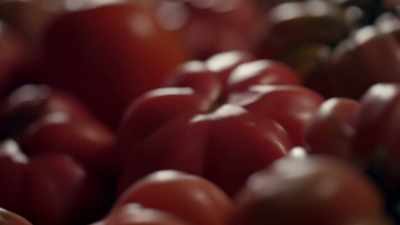 These tomatoes
are grown from seeds - Eva Longoria: Searching for Mexico
