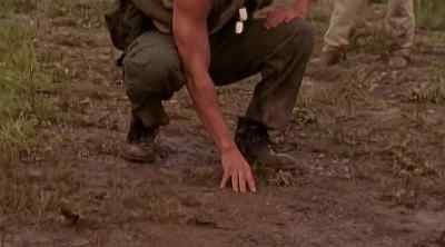 These tracks are more recent. - Relic Hunter