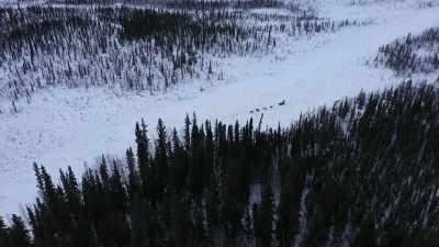These vast swaths of
untouched forest, - Life Below Zero: Next Generation