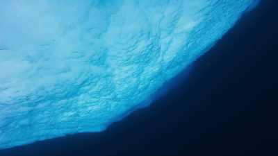 These waters
are the coldest on Earth. - Blue Planet II