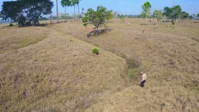 THESE WERE MUCH MORE
COMPLEX SOCIETIES - Lost Cities of the Amazon