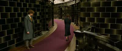 Theseus was disappointed you couldn't come to dinner. - Fantastic Beasts: The Crimes of Grindelwald