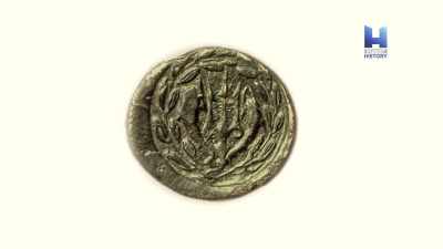 They had a fossilized color,
they had no roots. - Ancient Apocalypse