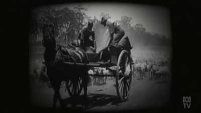 They were a motley lot,
bred mainly for meat. - Aussie Inventions That Changed The World