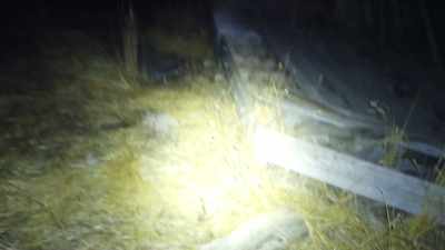 They actually found a body
out here a few years ago. - Deadstream