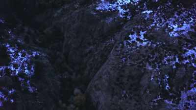 They had aircraft
doing grid searches. - Buried In The Backyard