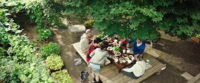 They all said the tree was rotting. - Fabricated City