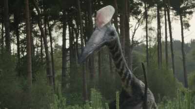 They almost certainly were predators - Prehistoric Planet