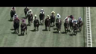 They always describe
racing as the great leveller - Horsepower