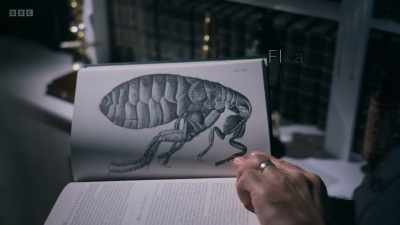 They appeared
in a book called Micrographia, - Secrets of Size: Atoms to Supergalaxies