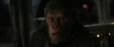 They are against you - War for the Planet of the Apes