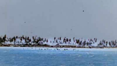 They are being
mowed down in rows. - The Pacific War in Color