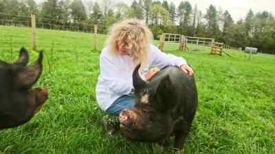 They are full of life, and curiosity, - Pignorant