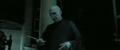 They are, in some ways, twins. - Harry Potter and the Deathly Hallows: Part 1