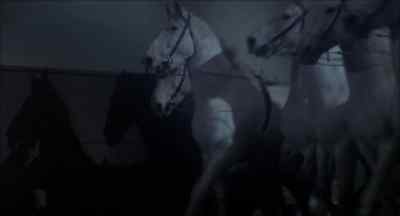 They are just horses. - The Seven Per Cent Solution
