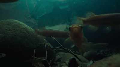 They are so primitive,
they don't even have scales, - Modern Dinosaurs