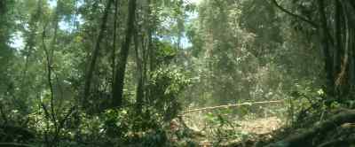 They are taking our lands away - 2073