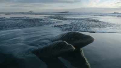 They are warm-blooded, - Prehistoric Planet