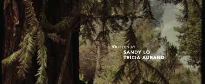 They believe
it was silently - Reed's Point