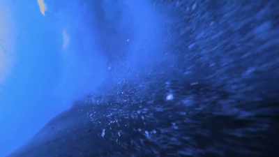 They blow bubbles that force fish
into tight balls near the surface. - Secrets of the Whales