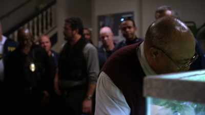 They bring my patients such
joy at a very difficult time. - Gosnell: The Trial of America's Biggest Serial Killer