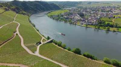 They brought with them a belief
that wine was a necessity - World's Most Scenic River Journeys