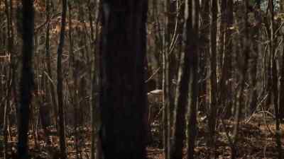 They call him
The Howling Man. - Will Trent
