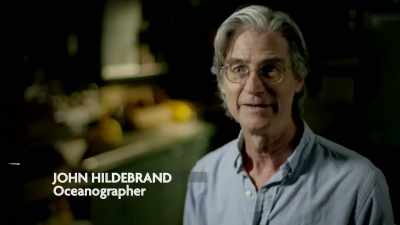 THEY CALL IT HADAL, MEANING HADES. - Strange Evidence