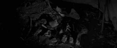 They call that
a medicine bundle. - The Man in the Woods